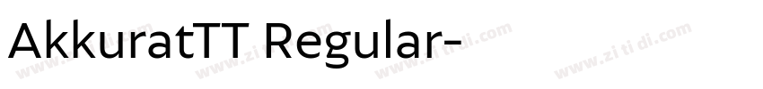 AkkuratTT Regular字体转换